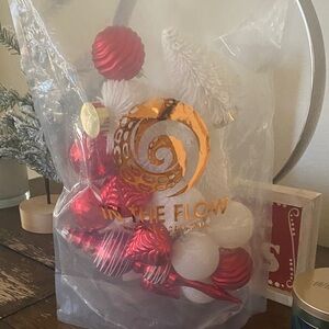 Red and White Holiday Ornament Set